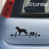 Malý münsterlandský ohař nálepka-Kleiner Münsterländer Aufkleber - Small Münsterlander sticker