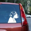 Anglický Pointer nálepka - English Pointer Aufkleber sticker
