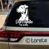 dogo argentino