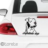argentinska doga lepka dogo argentino