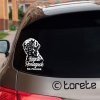 Lagotto Romagnolo lepka