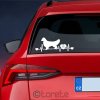 Zlatý retrívr nálepka-Golden Retriever Aufkleber sticker