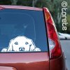 Zlatý retrívr nálepka-Golden Retriever Aufkleber sticker