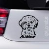 bison lepka