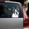 Bostonský terier nálepka - Boston Terrier sticker aufkleber