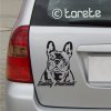 Buldog francuski naklejka na samochód