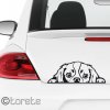 Kavalír King Charles španěl nálepka-Cavalier King Charles Spaniel Aufkleber sticker