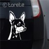 Pražský potkaniarik lepka - Prager Rattler Aufkleber - Prague Ratter sticker - Pražský krysařík nálepka