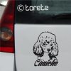 Autocollant Caniche