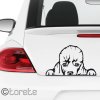 Pudl nálepka - Pudel Aufkleber - poodle sticker