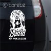 briard Owczarek francuski briard  naklejka na samochód