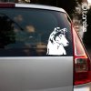 Krátkosrstá kolia lepka - Smooth Collie sticker - Kolie nálepka - Kurzhaarcollie aufkleber
