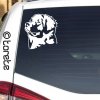 Slovenský čuvač nálepka-Slowakischer Tschuvatsch Aufkleber slovak cuvac sticker