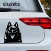 Schipperke sticker aufkleber  naklejka na samochód    autómatrica  autocollant de voiture nálepka