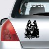 Schipperke sticker aufkleber  naklejka na samochód    autómatrica  autocollant de voiture nálepka