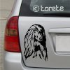 Afgánský chrt Afghan Hound Afghanischer Windhund Afganský chrt Chart afgański Afgán agár Lévrier afghan stickers autoaufkleber