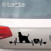 Afgánský chrt nálepka-Afghanischer Windhund Aufkleber Afghan Hound sticker