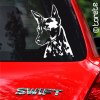 American Hairless Terrier Amerikanischer Nackthund Americký bezsrstý teriér Amerykański Bezwłosy Terier Amerikai meztelen terrier autoaufkleber aufkleber samolepka sticker