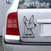 Amerikai meztelen terrier autómatrica
