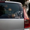 Skinny morče  nálepka  - Skinny Meerschweinchen  Aufkleber - Skinny Guinea pig sticker