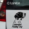 Auvergne Pointing Dog sticker