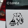 Airedalský teriér lepka