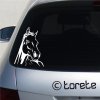 Nálepka kůň- Aufkleber Pferd - horse sticker