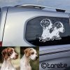 pointer pred po