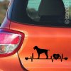 Bohemian wire-haired Pointing griffon sticker - Český Fousek nálepka-Böhmisch Rauhbart Aufkleber -