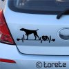 Německý ohař krátkosrstý nálepka -Deutsch Kurzhaar Aufkleber - German Shorthaired Pointer sticker