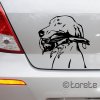 Maďarský ohař nálepka - Kurzhaariger Ungarischer Vorstehhund Aufkleber - magyar vizsla sticker - Maďarský stavač lepka