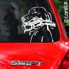 Maďarský ohař nálepka - Kurzhaariger Ungarischer Vorstehhund Aufkleber - magyar vizsla sticker - Maďarský stavač lepka