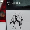 saluki nalepka sticker aufkleber