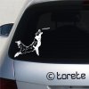 Border kolie Frisbee nálepka-Border Collie Aufkleber - border collie sticker