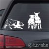 Border kolie pasení ovcí nálepka-Border Collie Aufkleber - border collie sticker