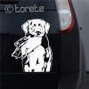 Labradorský retrívr nálepka -Labrador Retriever Aufkleber sticker  naklejka na samochód    autómatrica  autocollant de voiture