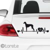Sloughi nálepka aufkleber sticker