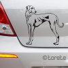 Sloughi nálepka sticker aufkleber  naklejka na samochód    autómatrica  autocollant de voiture