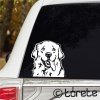 Zlatý retrívr nálepka - Golden Retriever Aufkleber sticker