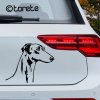 Greyhound nalepka sticker aufkleber