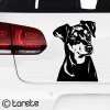 Deutscher Pinscher aufkleber - German Pinscher sticker - Německý pinč nálepka