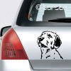 Štajerský durič lepka - Styrian Coarse Haired Hound sticker - Steirische Rauhhaarbracke aufkleber - Štýrský brakýř nálepka