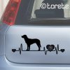 Nemecký dlhosrstý stavač lepka - German Longhaired Pointer sticker - Deutsch Langhaar aufkleber - Německý ohař dlouhosrstý nálepka