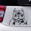 American Bully