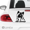 Akita américain autocollant de voiture