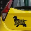Anglický kokršpaněl nálepka-Englische Cocker Spaniel Aufkleber