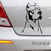 Argentinska doga Dogo Argentino Sticker