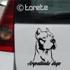 argentinska doga lepka dogo argentino
