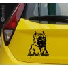 dogo canario - presa canario Dogue des Canaries autocollant de voiture