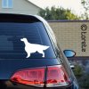 Irish Setter sticker aufkleber - irsky setr nalepka